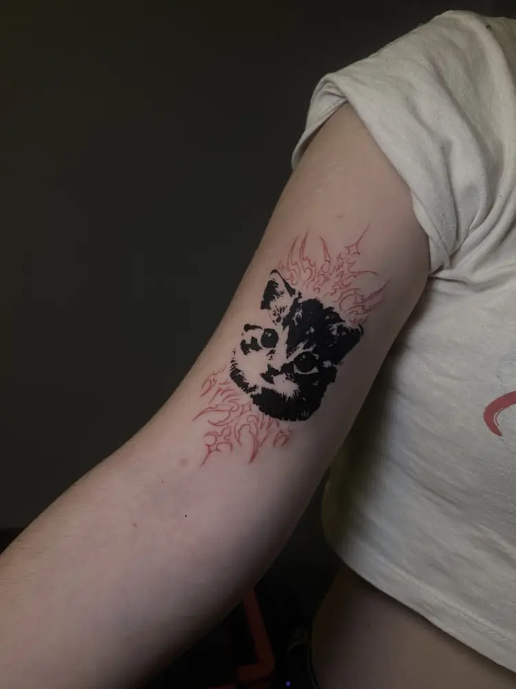 Tatuagem blackwork de gato com vermelho no braço, por Luan Machado, Clash Tattoo Ribeirão Preto
