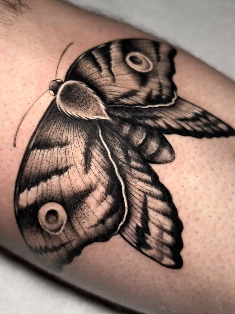 Tatuagem blackwork de mariposa, por Moita, Clash Tattoo Ribeirão Preto